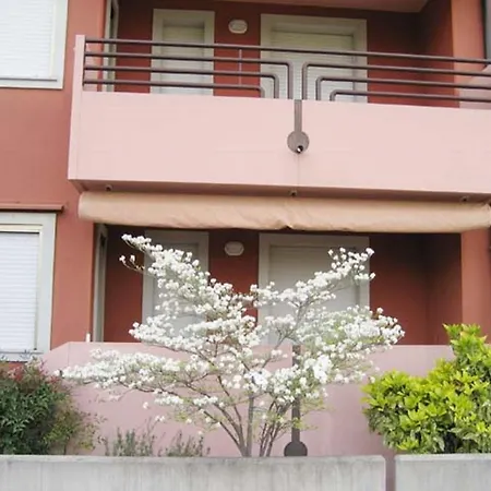 Camelie Apartment *